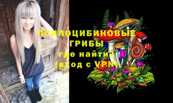 ГАЛЛЮЦИНОГЕННЫЕ ГРИБЫ Алзамай