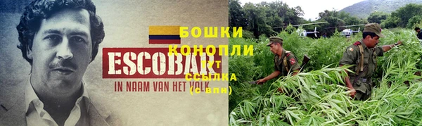 ГАЛЛЮЦИНОГЕННЫЕ ГРИБЫ Алзамай