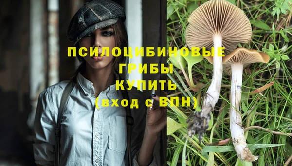 дмт Алексеевка