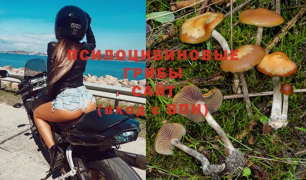 ПСИЛОЦИБИНОВЫЕ ГРИБЫ Абдулино