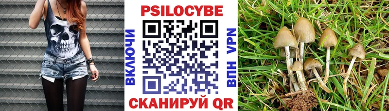 Галлюциногенные грибы Psilocybine cubensis  MEGA   Кохма 