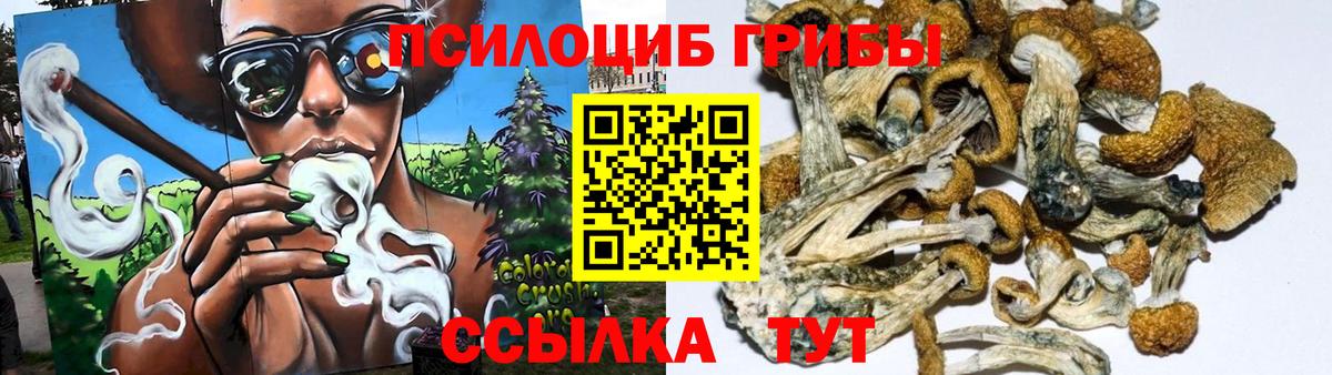 Псилоцибиновые грибы прущие грибы Кохма